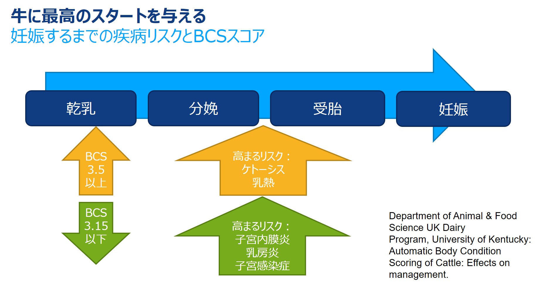 図1.繁殖管理におけるBCS効果の概要図.jpg