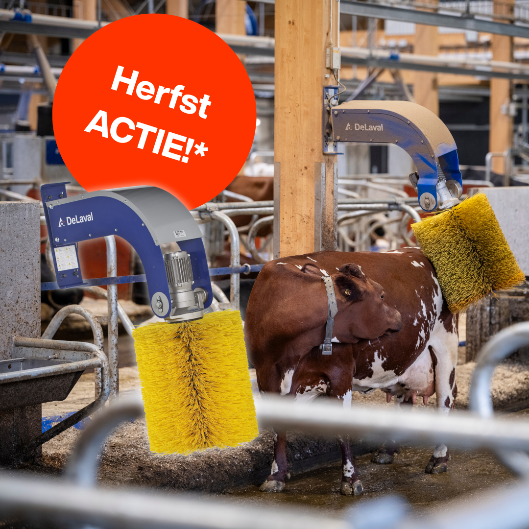 DeLaval Flexibele koeborstel SCB - Herfstactie