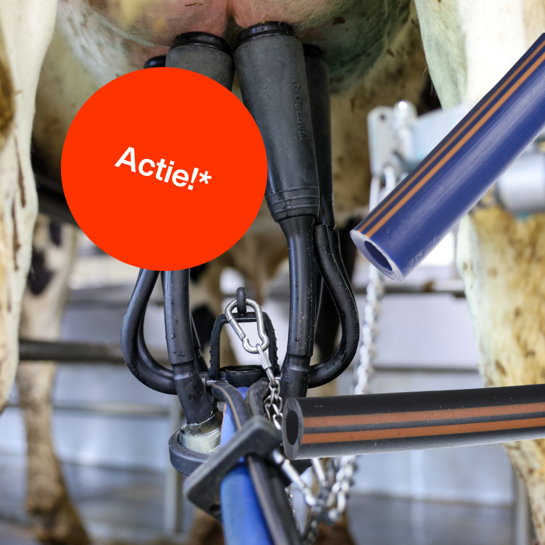 DeLaval Melkslang - Actie
