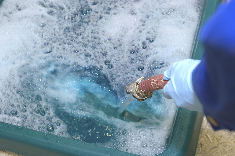 MicrosoftTeams-image (4).png