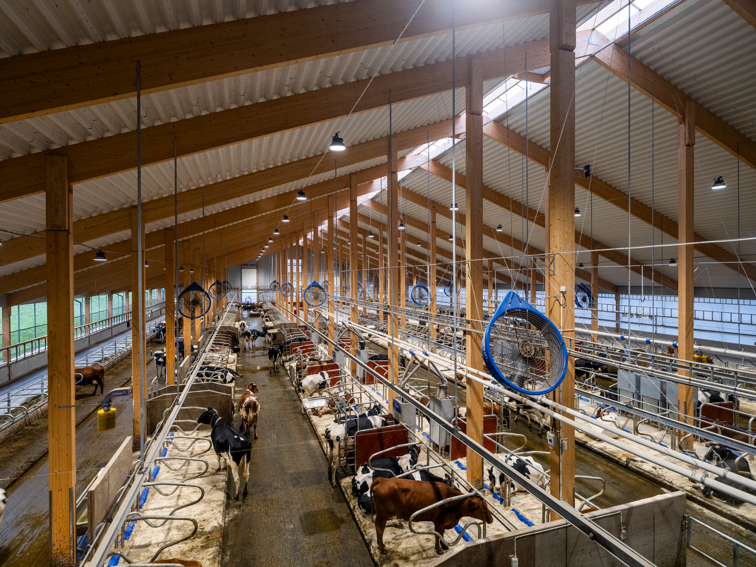 Nieuwe VMS Stal op Hamra Farm