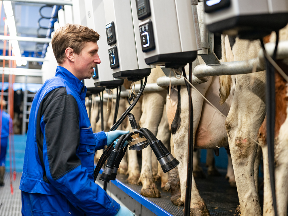 Duitse melkveehouder in de melkstal met DeLaval Melkstal Automatisering