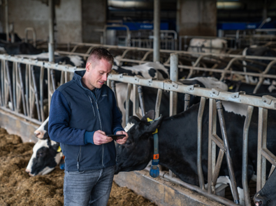John Arkink met telefoon in de handen op de voergang tussen de koeien met DeLaval melkrobots op de achtergrond