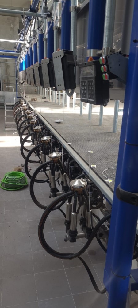 hala z bliska Macio.jpg