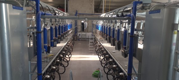 wnetrze hali Macio.jpg