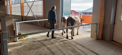 DeLaval vippeport