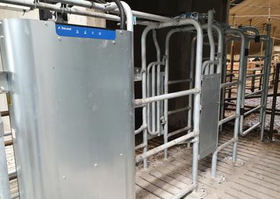 DeLaval sorteringsgrind DSG5
