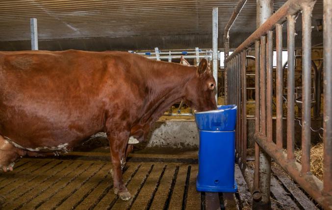 Lämmitettävä juomakuppi HB15