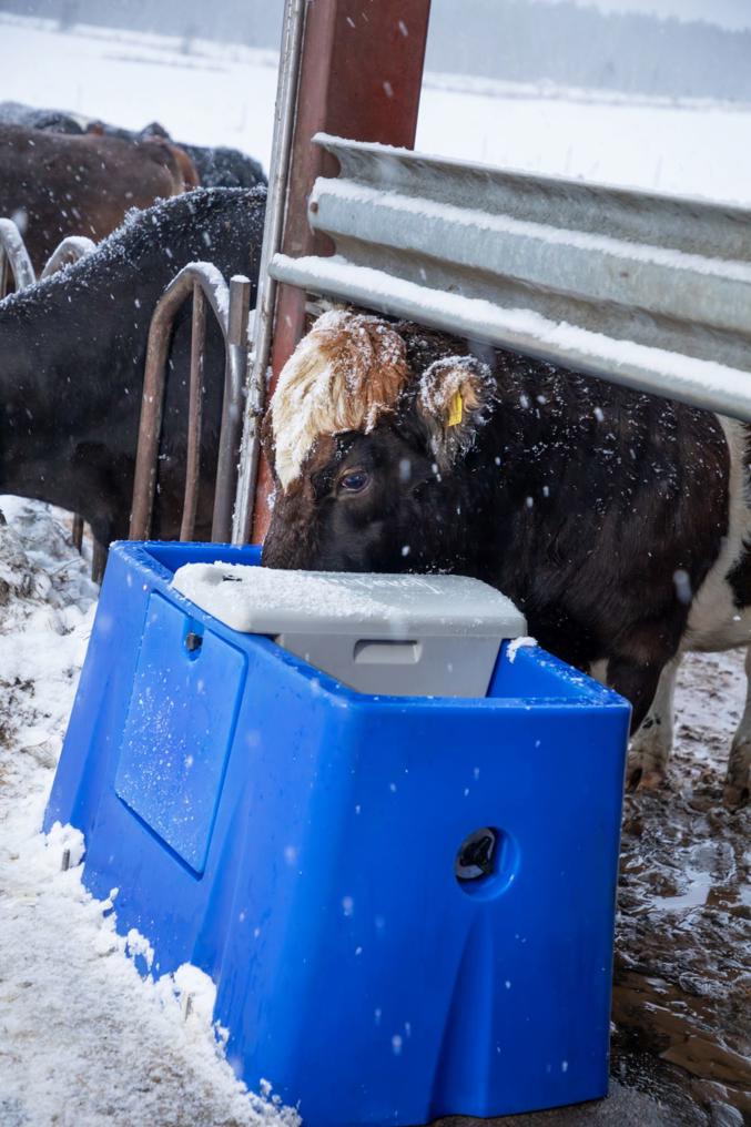 „DeLaval“ šildoma girdykla HPT50