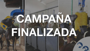 fin Campaña Postventa 2023 Bienestar Animal