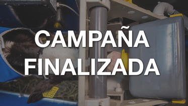 Fin Campaña Nodriza con cepillo para terneras DeLaval 2024 