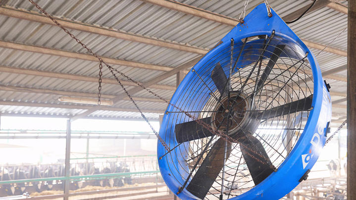 Campaña Postventa 2024 con Ventilación DeLaval Campaña Postventa 2024 con Ventilación DeLaval