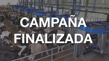 fin campaña robot de ordeño delaval vms batch milking