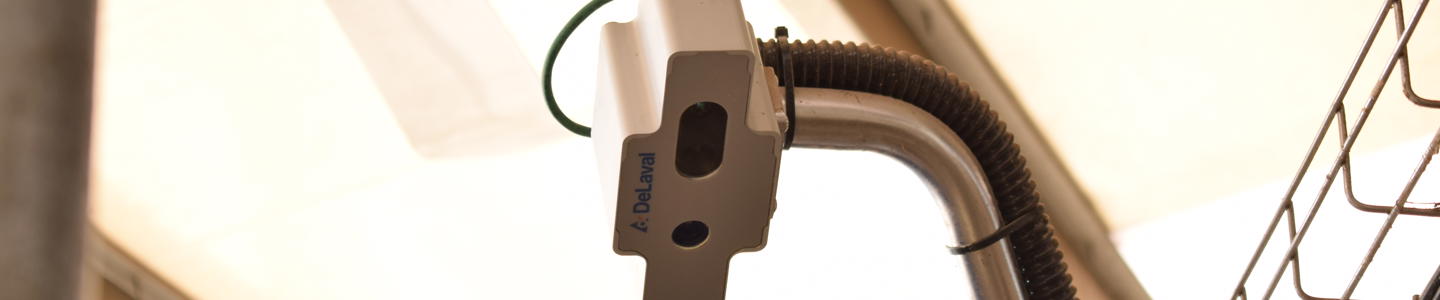 cámara condición corporal delaval cámara condición corporal delaval