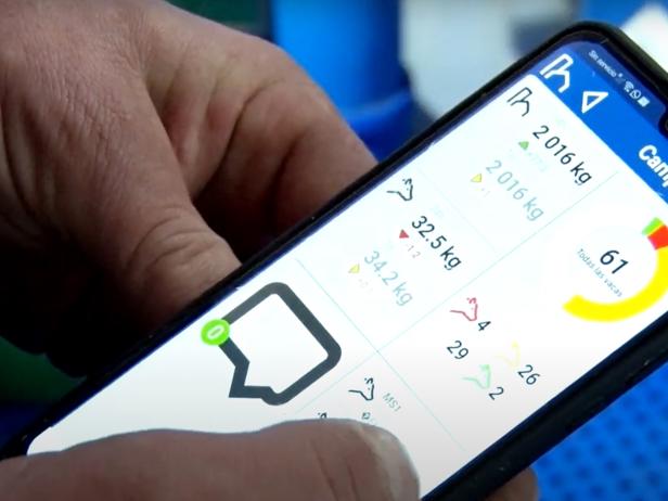 ganaderos delaval granja campos companion