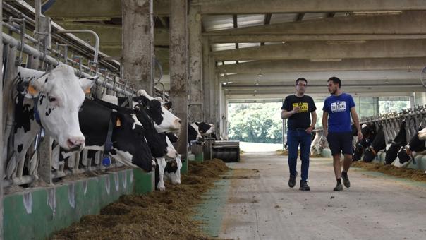 ganaderos-delaval-ganaderia-casa-das-pedras-granja