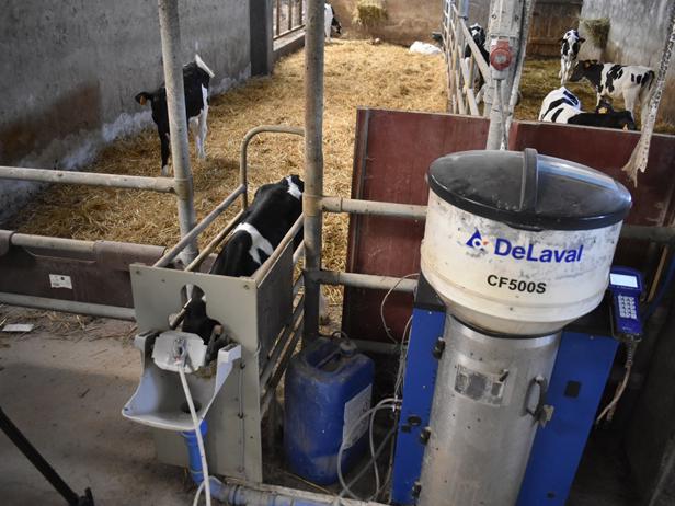 nodriza-delaval-amamantadora-terneras-casadaspedras