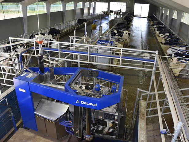 ganaderos delaval granja casa mario robot de ordeño