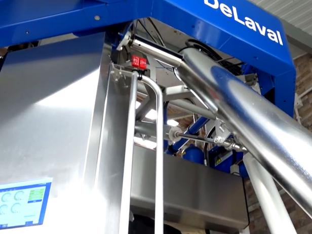 ganaderos delaval granja casa marroco robot de ordeño ganaderos delaval granja casa marroco robot de ordeño