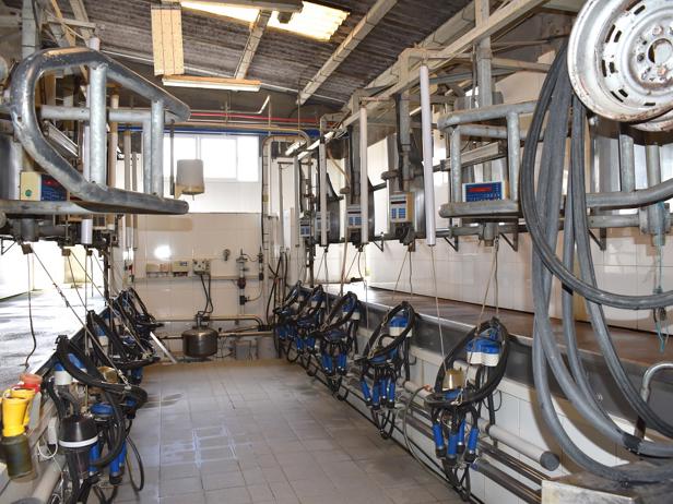 ganaderos delaval granja casa polo sala de ordeño ganaderos delaval granja casa polo sala de ordeño