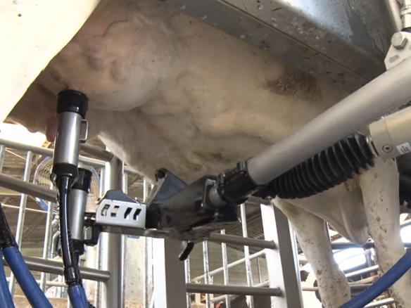 ganaderos delaval granja casa polo robots de ordeño ganaderos delaval granja casa polo robots de ordeño