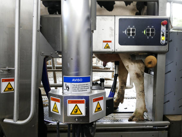 ganaderos delaval granja xacobe robots de ordeño