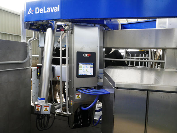 ganaderos delaval granja xacobe robots de ordeño