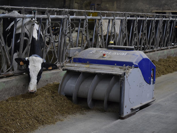 ganaderos delaval granja charent ganadera optiduo ganaderos delaval granja charent ganadera optiduo