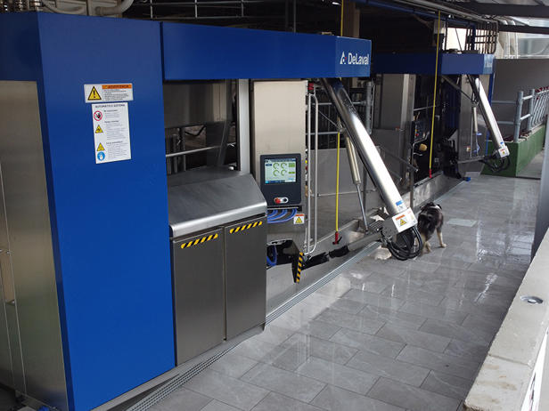 ganaderos delaval granja charent ganadera robot de ordeño ganaderos delaval granja charent ganadera robot de ordeño