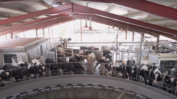 DeLaval Open House rotativa DeLaval Open House rotativa