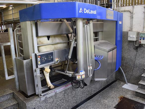 ganaderos delaval granja finca la asunción robot de ordeño