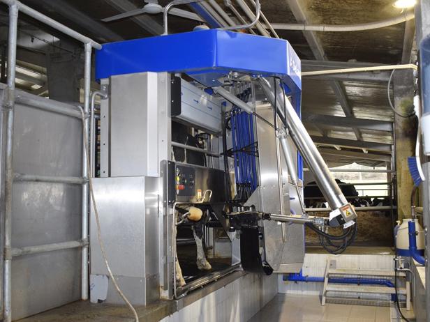 ganaderos delaval granja ganadería cabo robot de ordeño ganaderos delaval granja ganadería cabo robot de ordeño