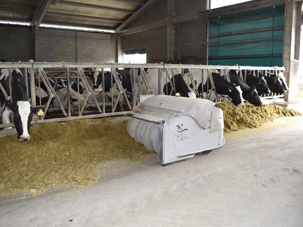 ganaderos delaval granja ganadería cabo optiduo ganaderos delaval granja ganadería cabo optiduo