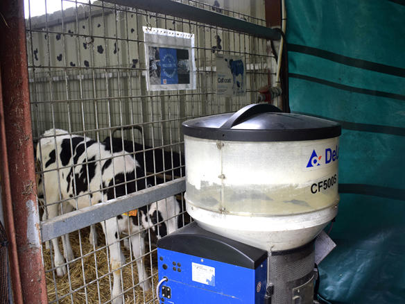 ganaderos DeLaval granja estanqueiro con nodriza para terneras ganaderos DeLaval granja estanqueiro con nodriza para terneras