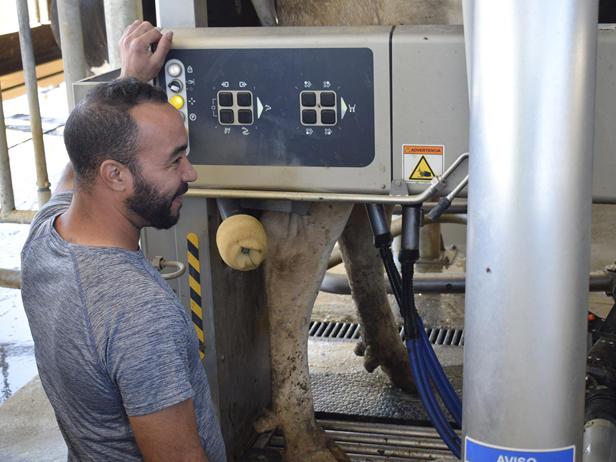 ganaderos DeLaval ganadería gallardo robot de ordeño ganaderos DeLaval ganadería gallardo robot de ordeño