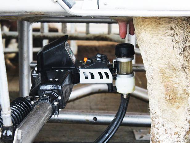 ganaderos DeLaval ganadería quitian robot de ordeño ganaderos DeLaval ganadería quitian robot de ordeño