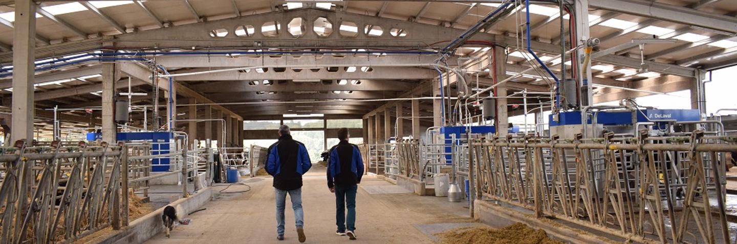 ganaderos delaval ganaderos delaval