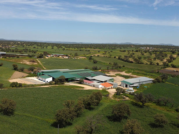 granja de vacas la ciguñuela granja de vacas la ciguñuela