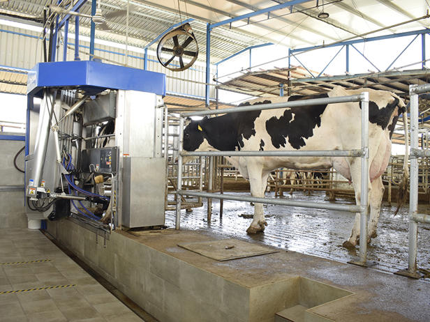 robot de ordeño granja de vacas delaval vms la ciguñuela robot de ordeño granja de vacas delaval vms la ciguñuela
