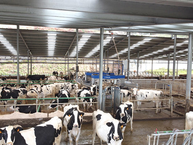 Ganaderos-delaval-lopez-zolle-robot-ordeño-vacas Ganaderos-delaval-lopez-zolle-robot-ordeño-vacas