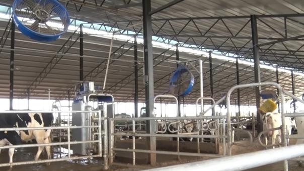 ganaderos DeLaval ganadería los ruedos establo ganaderos DeLaval ganadería los ruedos establo