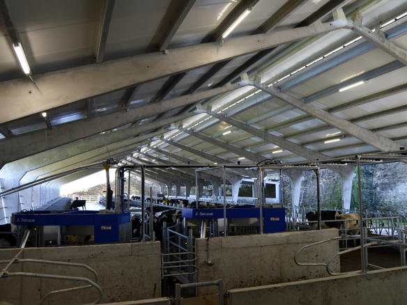 ganaderos DeLaval ganadería ramil friolfe nave ganaderos DeLaval ganadería ramil friolfe nave