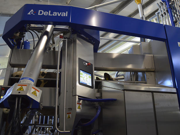 ganaderos DeLaval ganadería ramil friolfe robot de ordeño ganaderos DeLaval ganadería ramil friolfe robot de ordeño