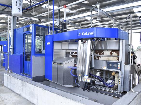 ganaderos DeLaval ganadería salgado buide robot de ordeño