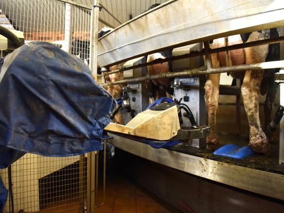 ganaderos DeLaval ganadería sant jaume del palau tsr