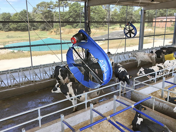 Ventiladores delaval en granja cliente Santeiro Pereira Ventiladores delaval en granja cliente Santeiro Pereira