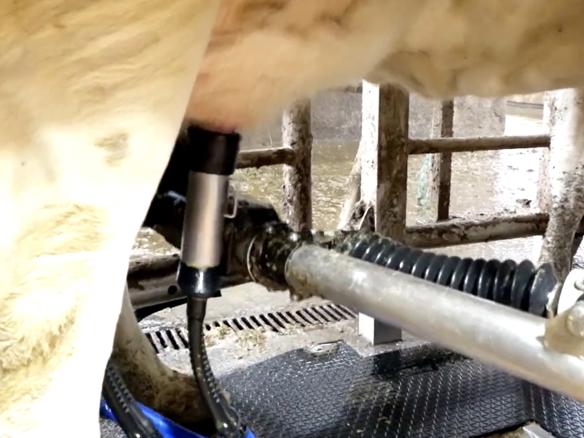 ganaderos DeLaval ganadería sat regueiro robot de ordeño ganaderos DeLaval ganadería sat regueiro robot de ordeño