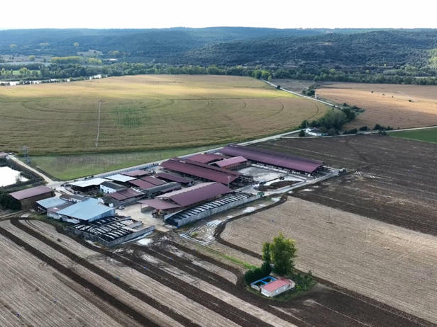 dron ganaderos DeLaval ganadería sat rote dron ganaderos DeLaval ganadería sat rote