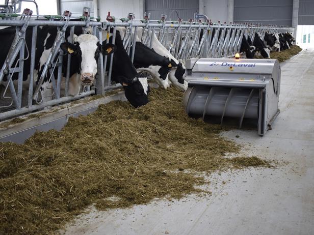 ganaderos DeLaval ganadería valiña irimia optiduo ganaderos DeLaval ganadería valiña irimia optiduo