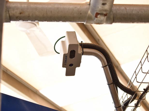 ganaderos DeLaval ganadería varela labrada bcs ganaderos DeLaval ganadería varela labrada bcs